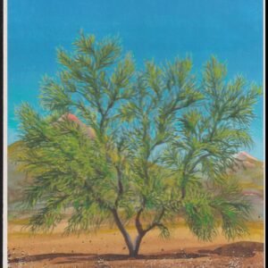 US Cachet /Stamp Artwork - Colorano #3194