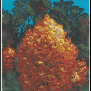 US Cachet /Stamp Artwork - Colorano #3195