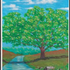 US Cachet /Stamp Artwork - Colorano #3196