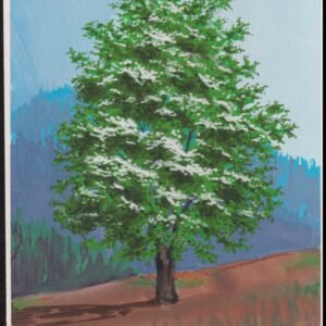 US Cachet /Stamp Artwork - Colorano #3197