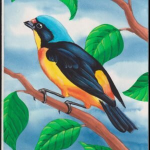 US Cachet /Stamp Artwork - Colorano #3222