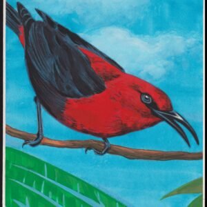 US Cachet /Stamp Artwork - Colorano #3225