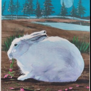 US Cachet /Stamp Artwork - Colorano #3288