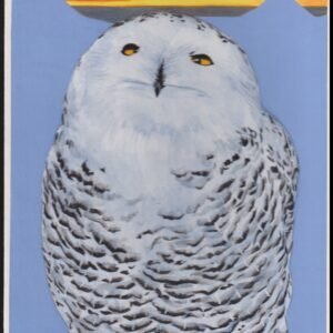 US Cachet /Stamp Artwork - Colorano #3290