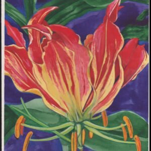 US Cachet /Stamp Artwork - Colorano #3312