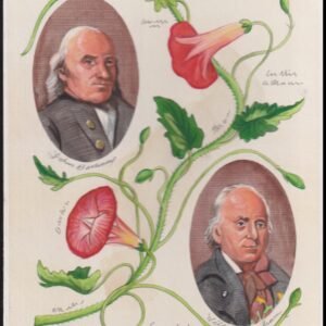 US Cachet /Stamp Artwork - Colorano #3314