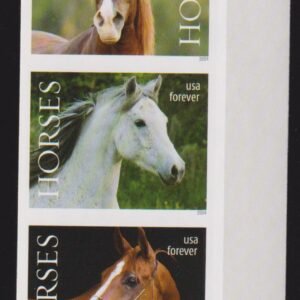 US 5891-95 Modern Imperf Horses Strip of 5