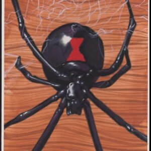 US Cachet /Stamp Artwork - Colorano Cover Art #3351a