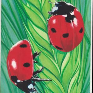 US Cachet /Stamp Artwork - Colorano Cover Art #3351c