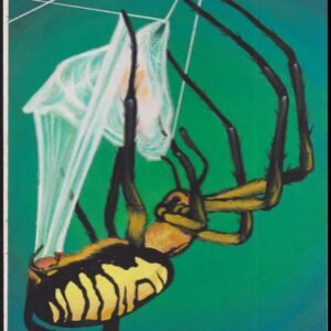 US Cachet /Stamp Artwork - Colorano Cover Art #3351d