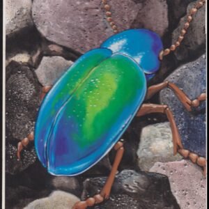 US Cachet /Stamp Artwork - Colorano Cover Art #3351e