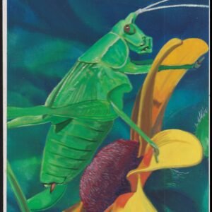 US Cachet /Stamp Artwork - Colorano Cover Art #3351f