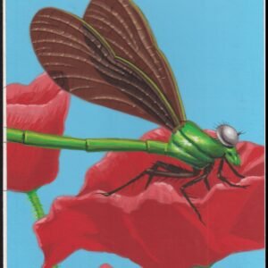 US Cachet /Stamp Artwork - Colorano Cover Art #3351h