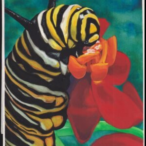 US Cachet /Stamp Artwork - Colorano Cover Art #3351j