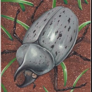 US Cachet /Stamp Artwork - Colorano Cover Art #3351l