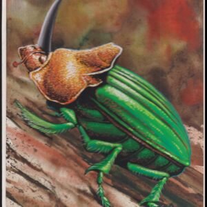 US Cachet /Stamp Artwork - Colorano Cover Art #3351n