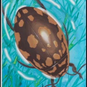 US Cachet /Stamp Artwork - Colorano Cover Art #3351o