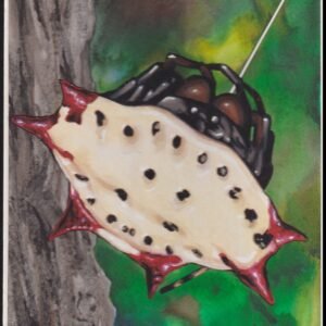 US Cachet /Stamp Artwork - Colorano Cover Art #3351q