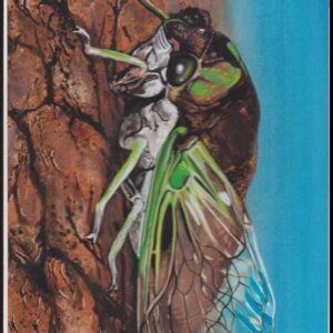 US Cachet /Stamp Artwork - Colorano Cover Art #3351r