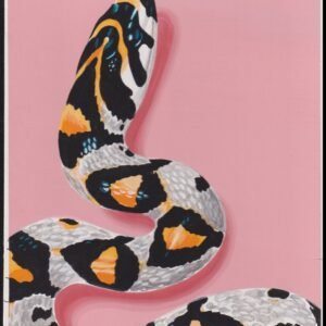 US Cachet /Stamp Artwork - Colorano Cover Art #3500