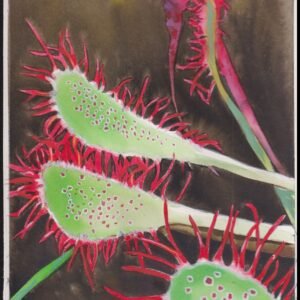 US Cachet /Stamp Artwork - Colorano Cover Art #3531