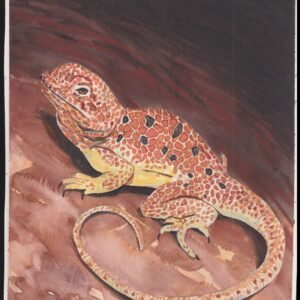 US Cachet /Stamp Artwork - Colorano Cover Art #3816