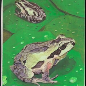 US Cachet /Stamp Artwork - Colorano Cover Art #3817