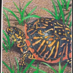 US Cachet /Stamp Artwork - Colorano Cover Art #3816