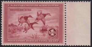 US Federal Duck Stamps #RW2 Mint NH XF - SUP