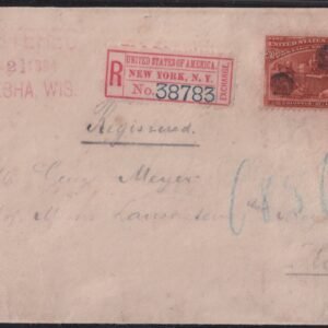 US Early Commemoratives #239,U349