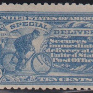 US Special Delivery #E10 MintLH