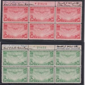 US Airmails #C21,C22 MintLH/NH