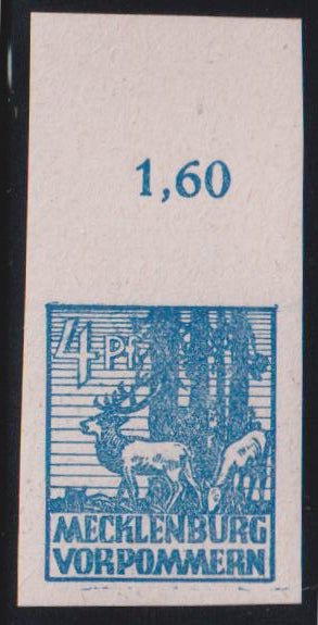 IMG_11262024_032_87855278-c20a-48dd-b9e6-e1b6b40a1985