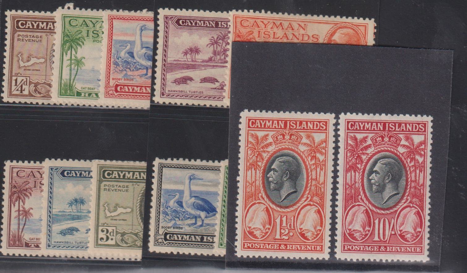 IMG_12132024_099_207e10e4-1877-4751-86f9-6d5d4a552b61