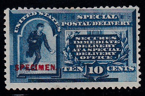 IMG_20241004_0044_b924b588-f8e1-41a3-8a4c-ca3f1a0a2e1b