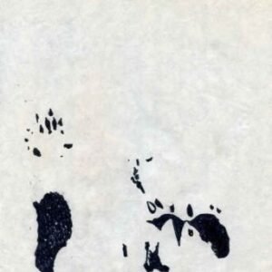 Jack Davis Artwork : Scott 1942-45