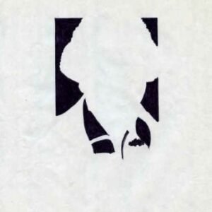 Jack Davis Artwork : Scott 1941