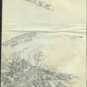 Ralph Dyer Artwork : Scott 1181, Civil War, Battle of the Wilderness