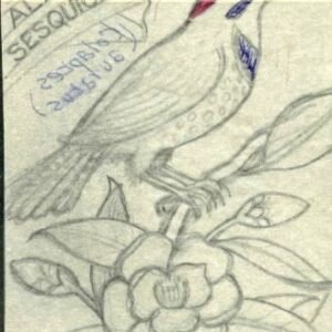 Ralph Dyer Artwork : Scott 1375 Birds