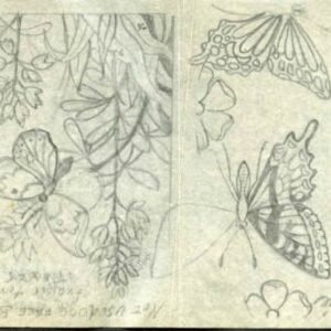 Ralph Dyer Artwork : Scott 1712-15, Butterflies