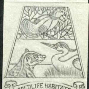 Ralph Dyer Artwork : Scott 1921-24 Wildlife Preservation