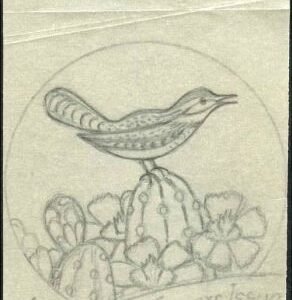 Ralph Dyer Artwork : Scott 1955 Birds and Flowers, Cactus