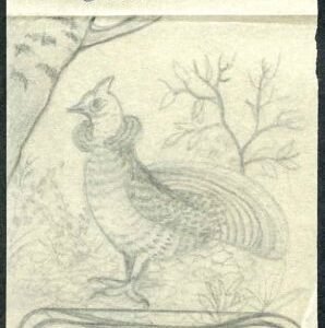 Ralph Dyer Artwork : Scott 1990 Birds and Flowers Pennsylvania