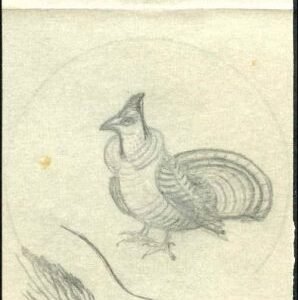 Ralph Dyer Artwork : Scott 1990 Birds and Flowers Pennsylvania