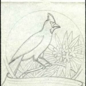 Ralph Dyer Artwork : Scott 2000