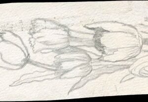 Ralph Dyer Artwork : Scott 2524-27