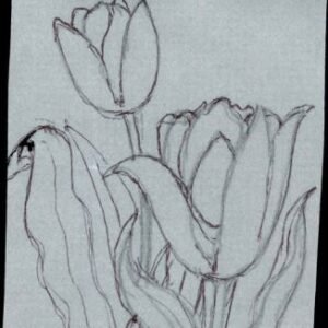 Ralph Dyer Artwork : Scott 2524-27