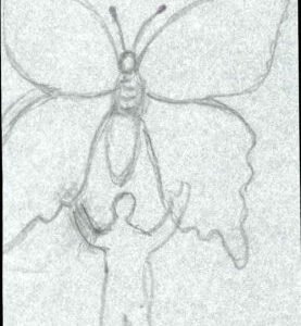 UN Ralph Dyer Art Scott 252 - 253