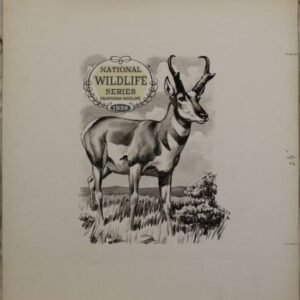 US Artmaster Scott 1078 1956 Wildlife Conservation, Antelope - Artwork