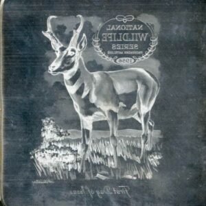 US Artmaster Scott 1078 1956 Wildlife Conservation, Pronghorn Antelope - Plate